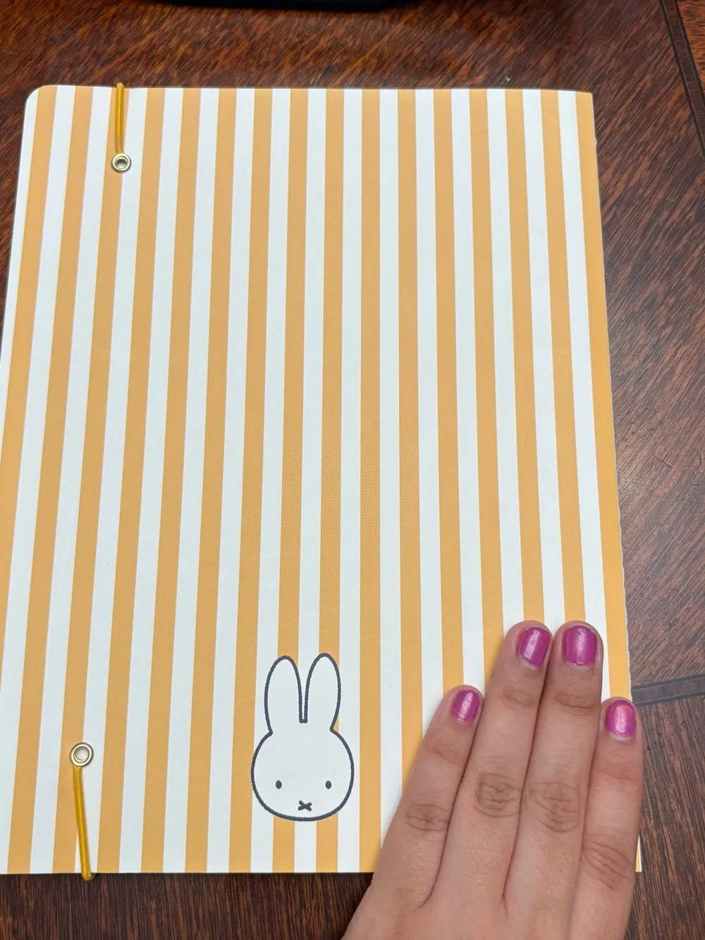 miffy 2027 Monthly Planner – Yellow Stripe with Color Blocks
